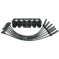 6 x 4300 Pro LS1 Race Coils, Leads & Bracket