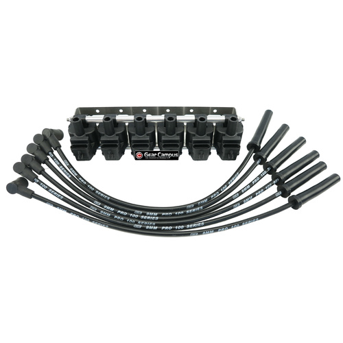 6 x 4300 Pro LS1 Race Coils, Leads & Bracket